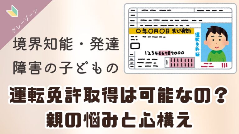 Image showcasing 境界知能・発達障害の子どもの運転免許取得は可能なの？ 親の悩みと心構え | グレーゾーンは困っちゃう