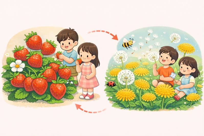 いちごとたんぽぽをテーマにした、小学校低学年の子ども向けのやさしい詩のイラスト