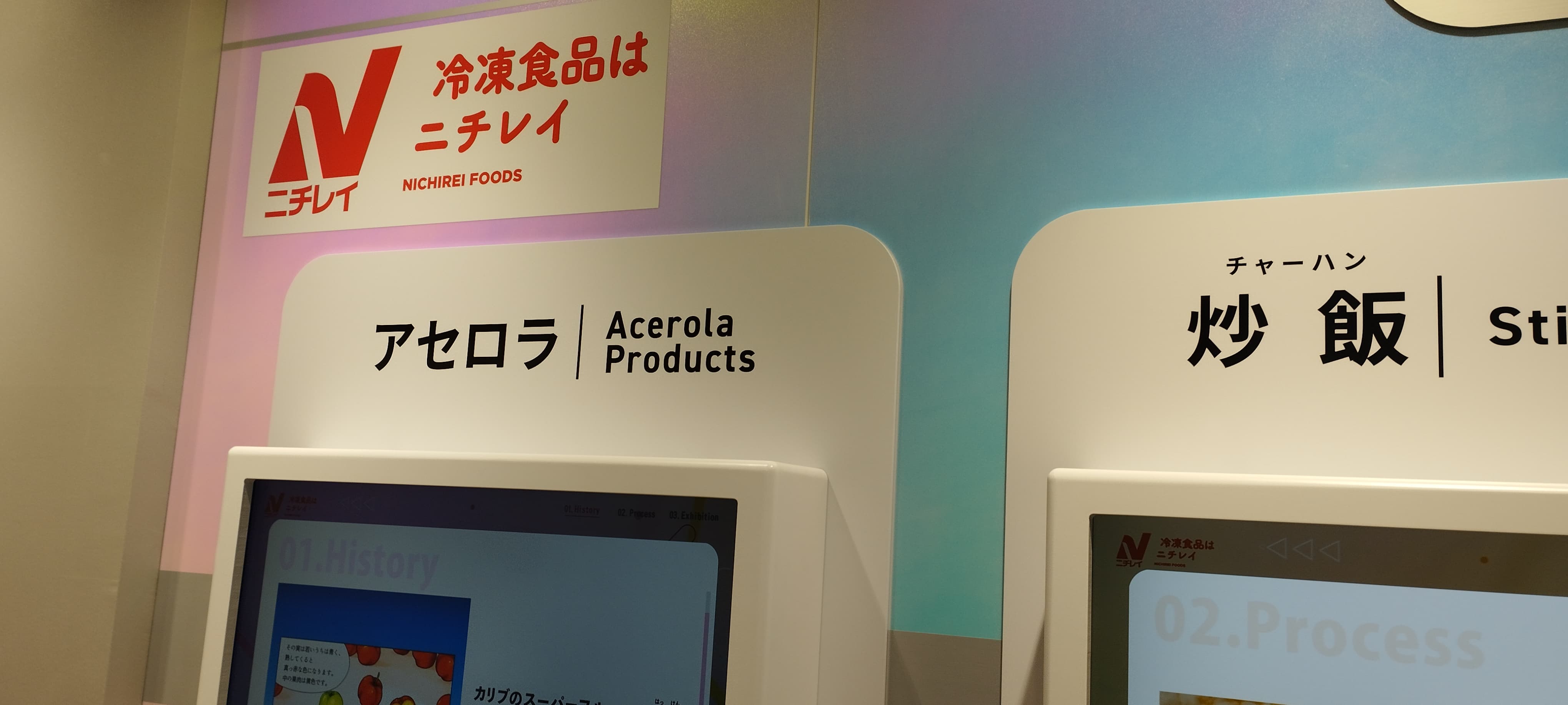 テラス ニチレイ